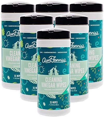 Cleaning Vinegar Wipes - Eucalyptus