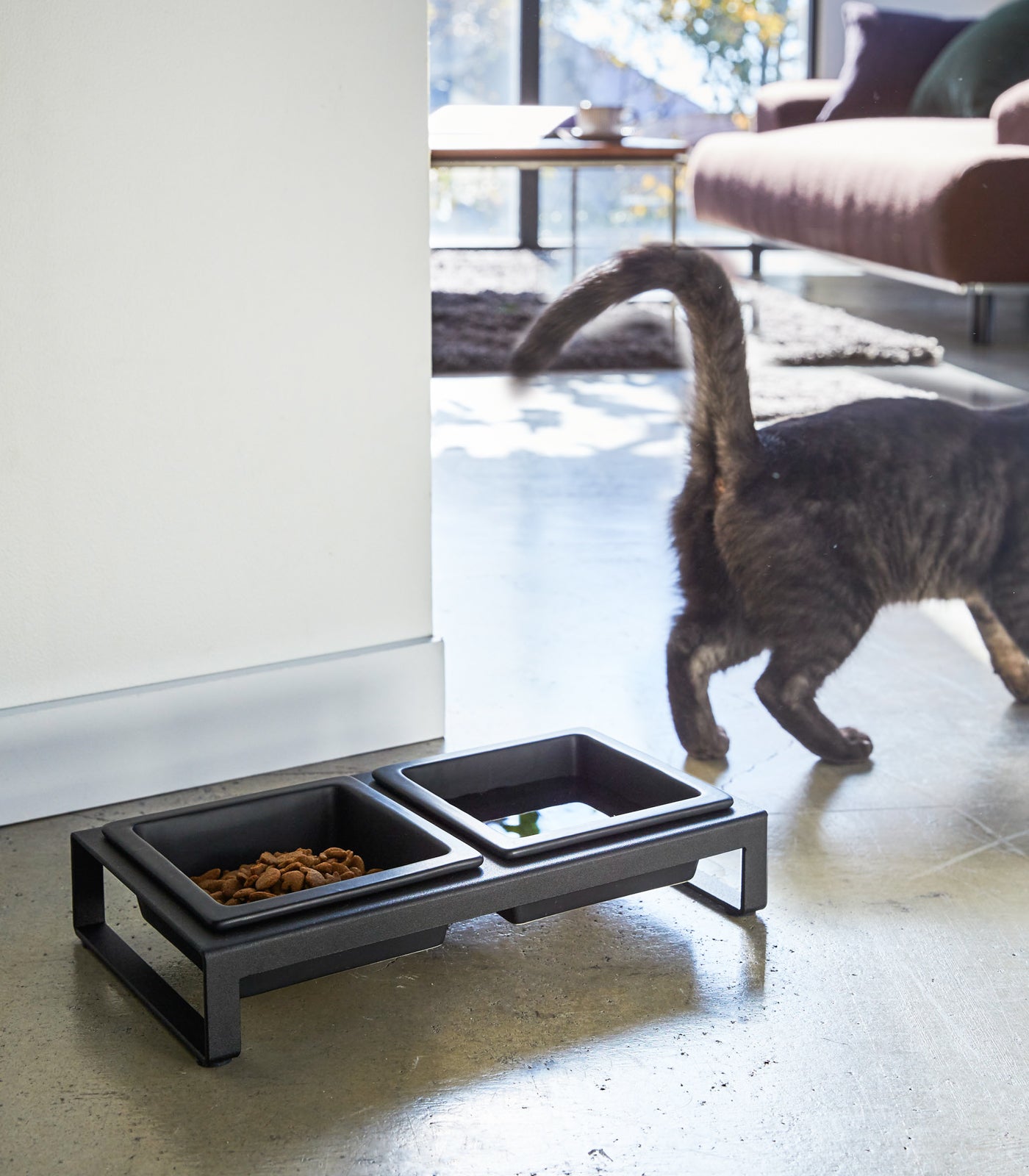 Pet Food Bowl - Short